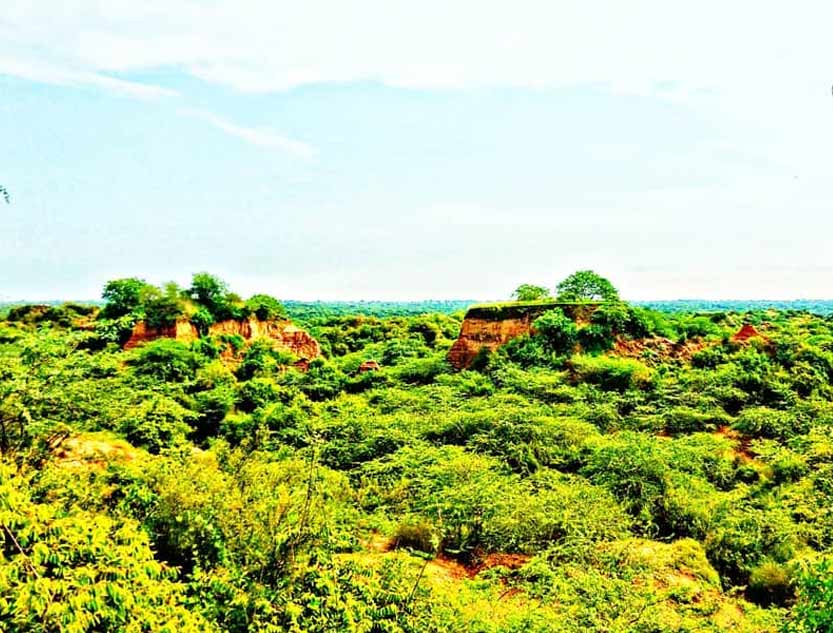 Patalkot Valley for travel