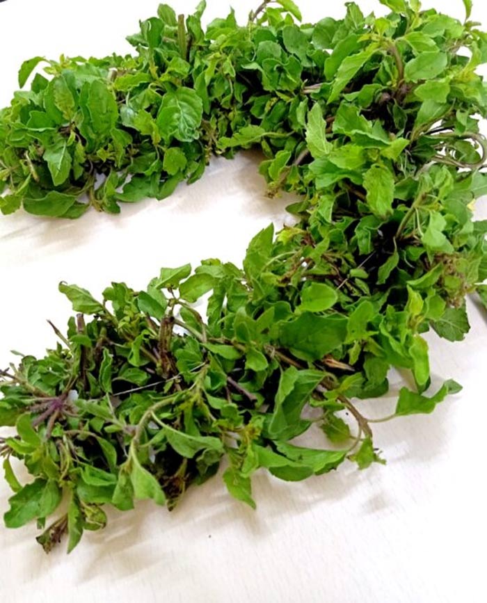 Which leaves are used in garlands