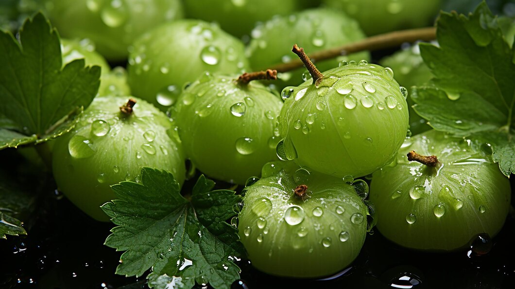 amla for antioxidants