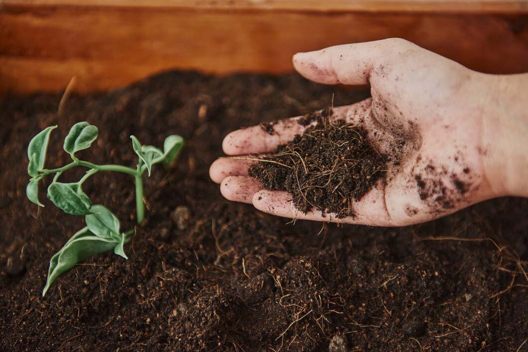 benefits of vermicompost for garden