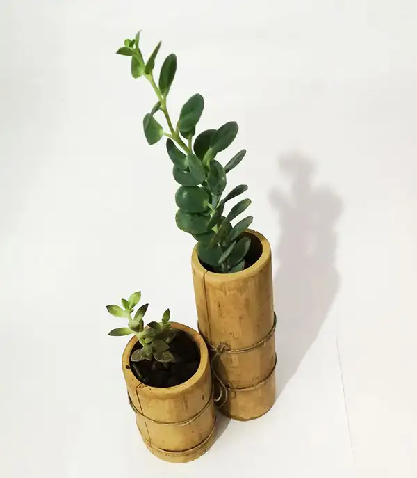 easy ways to make bamboo planters