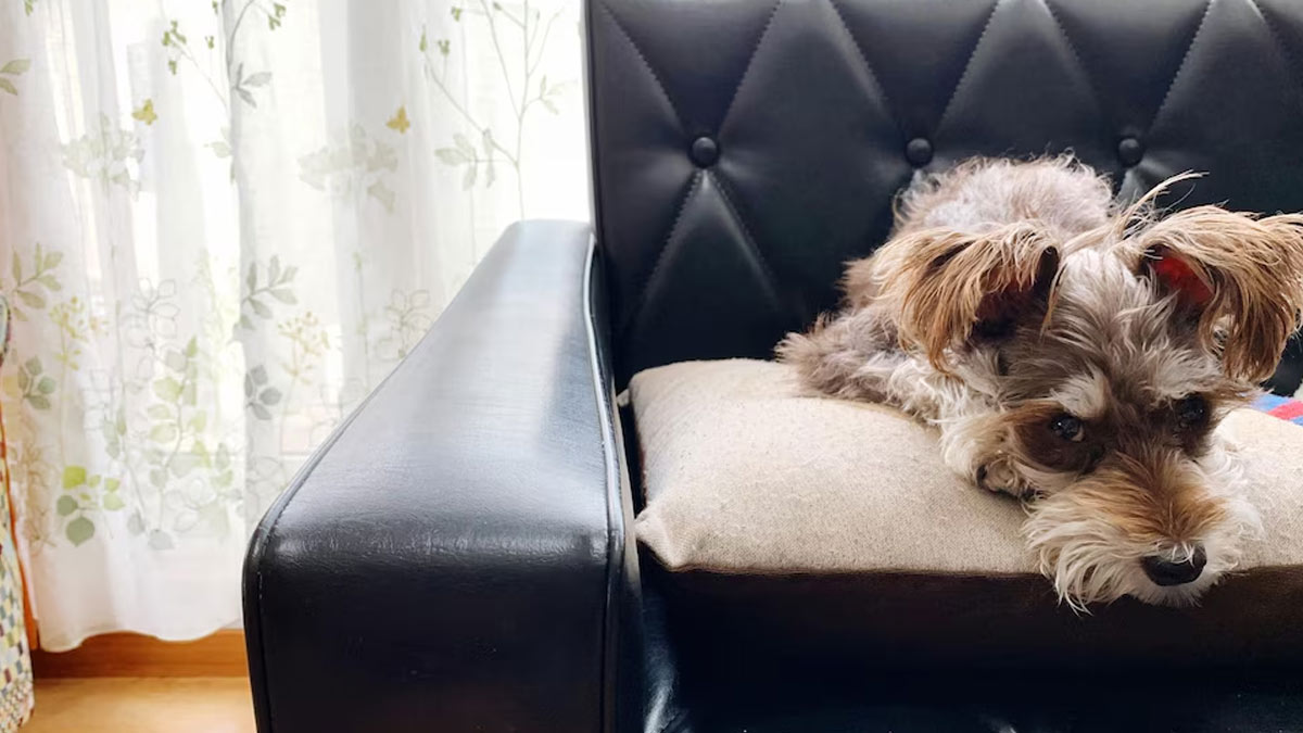 hairspray easy hacks