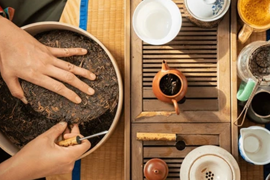 how to reuse green tea for plant