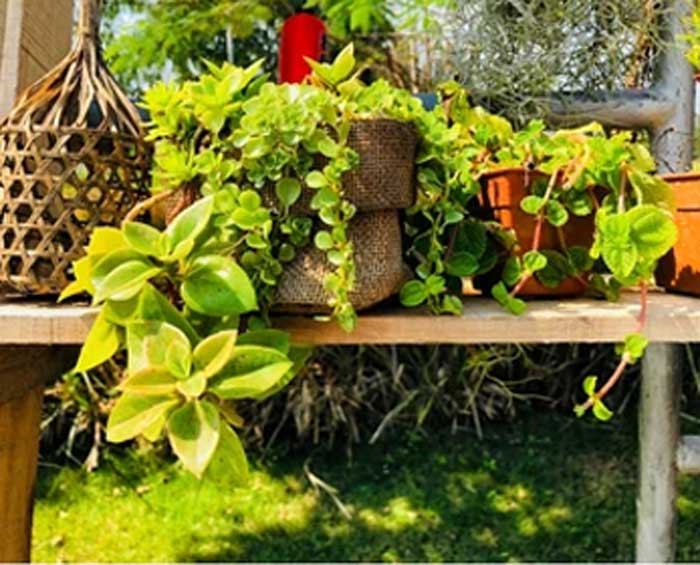 how to use sack in garden