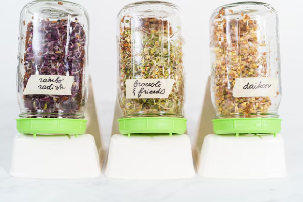 jar method to sprout dal