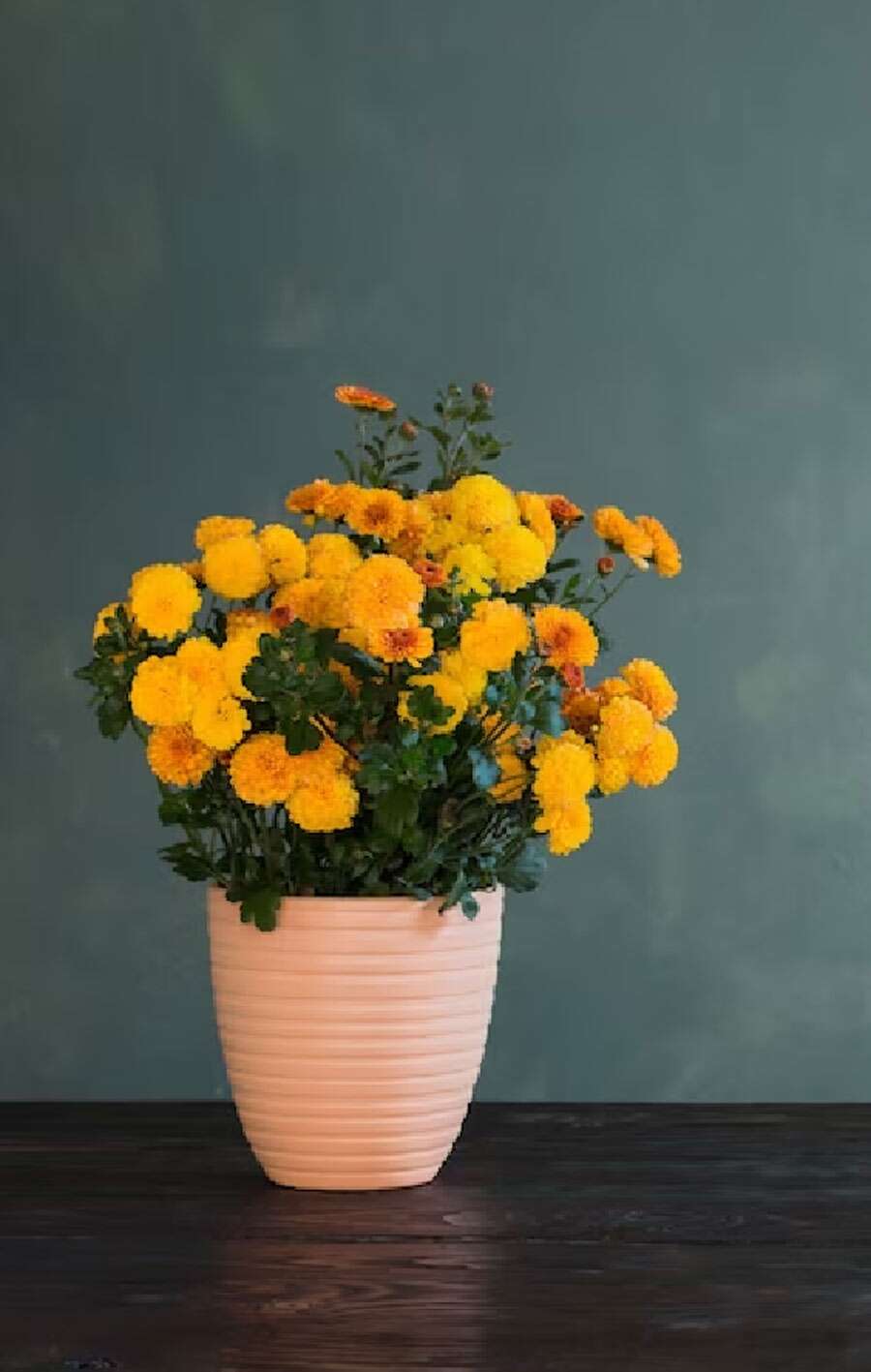 latest and trendy home decoration ideas