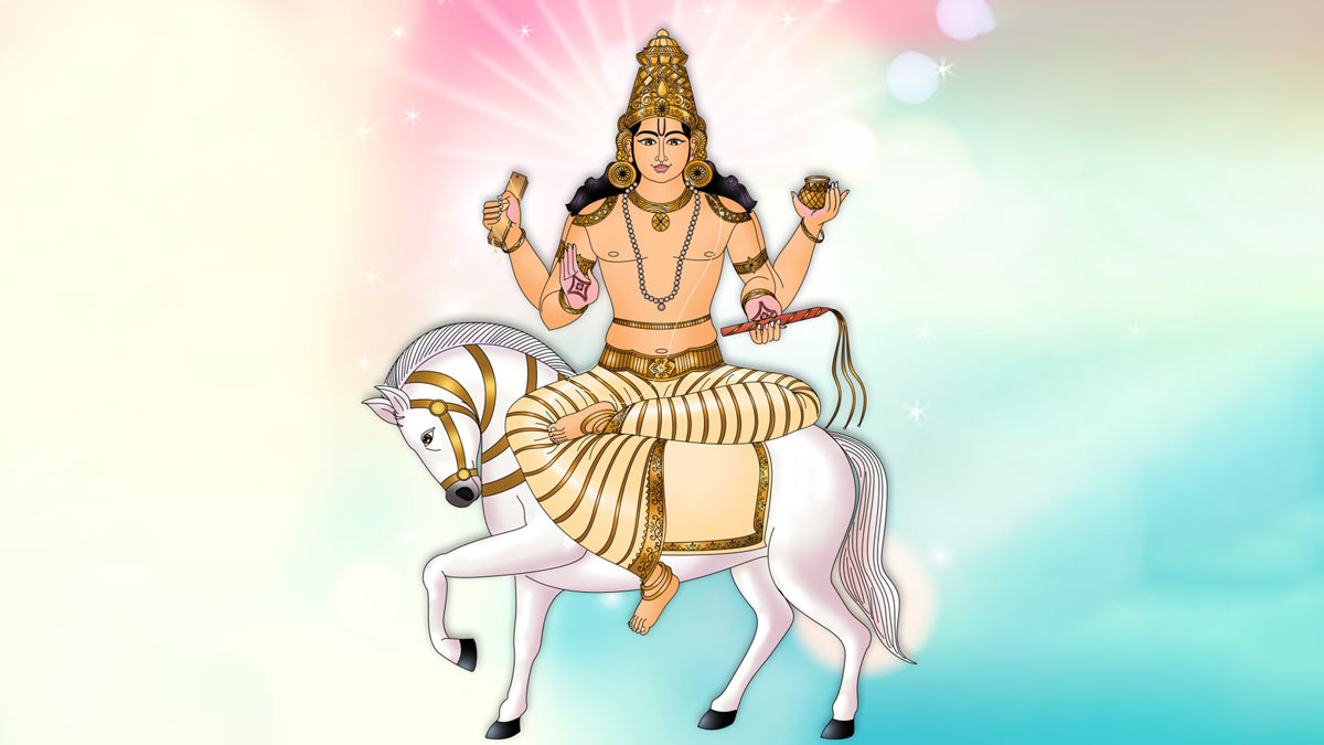 venus transit  affects on rashis