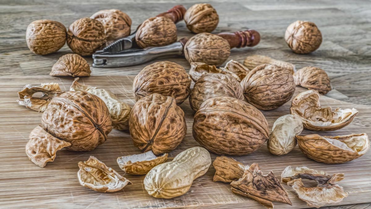 walnut shell reuse tips in hindi