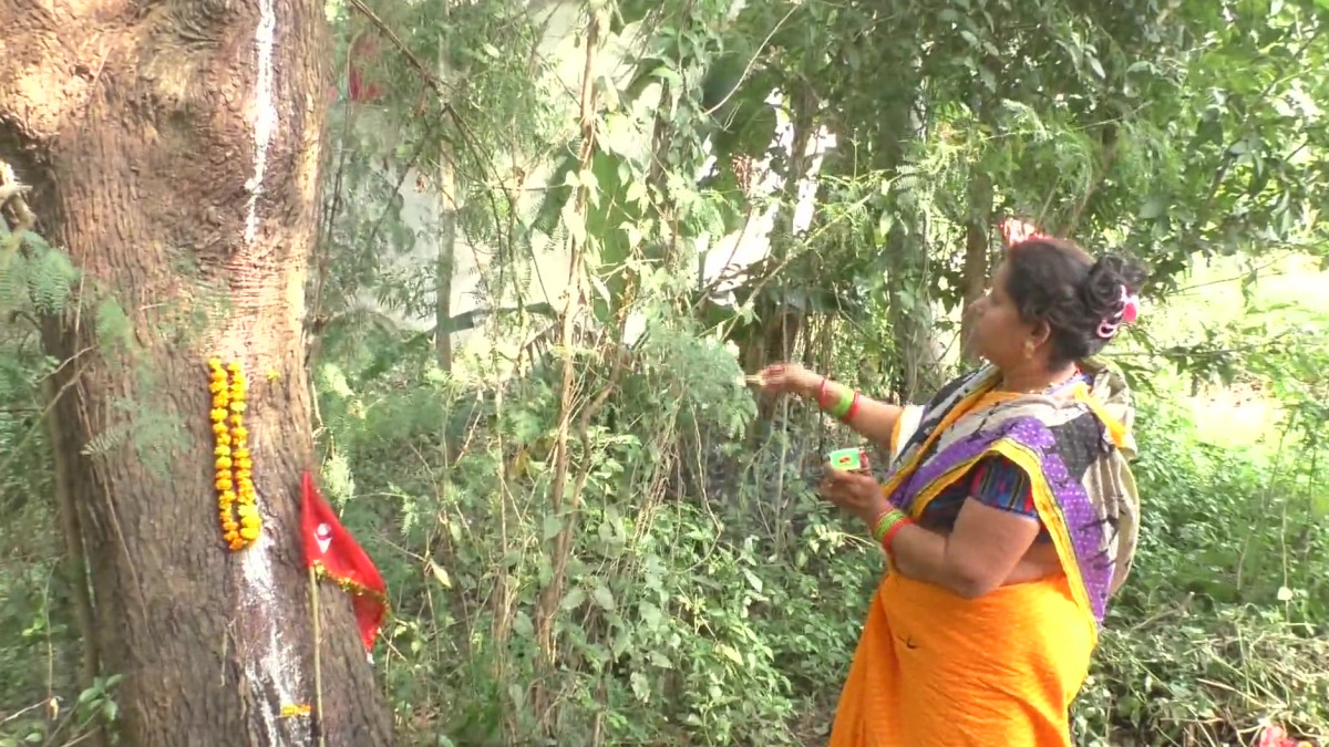 what happens if we worship neem tree