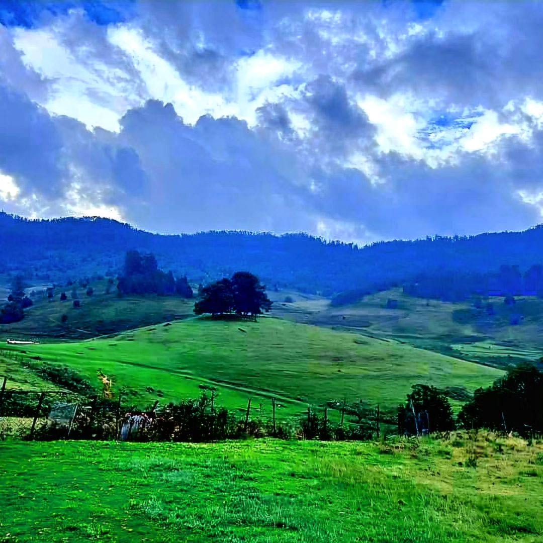 Kodaikanal tourist places