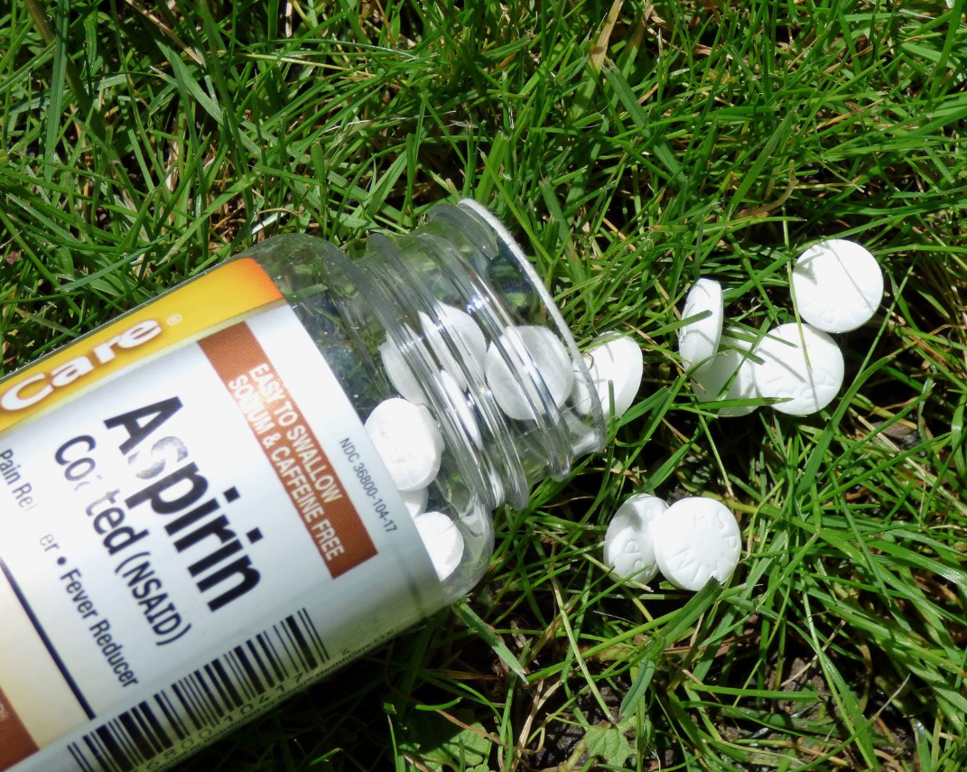 aspirin for plants