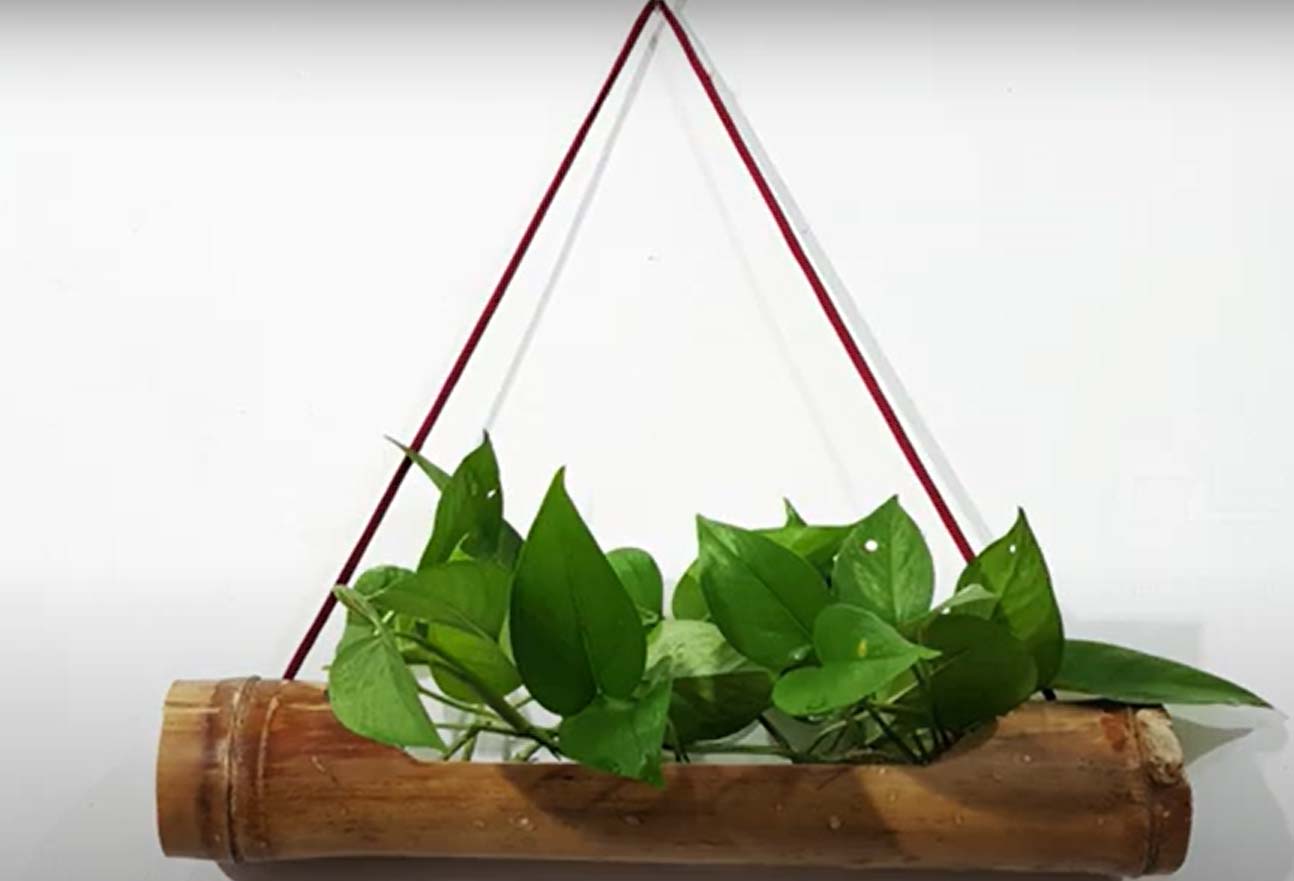 bamboo planters make