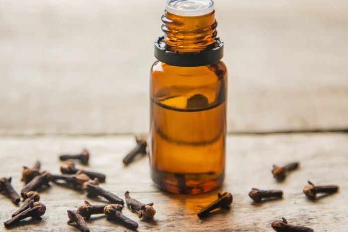 clove oil inside