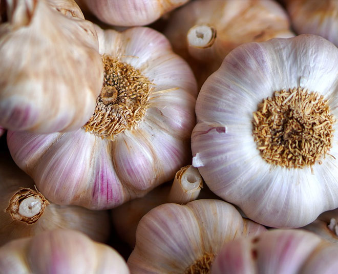 garlic benefits for pregnant women