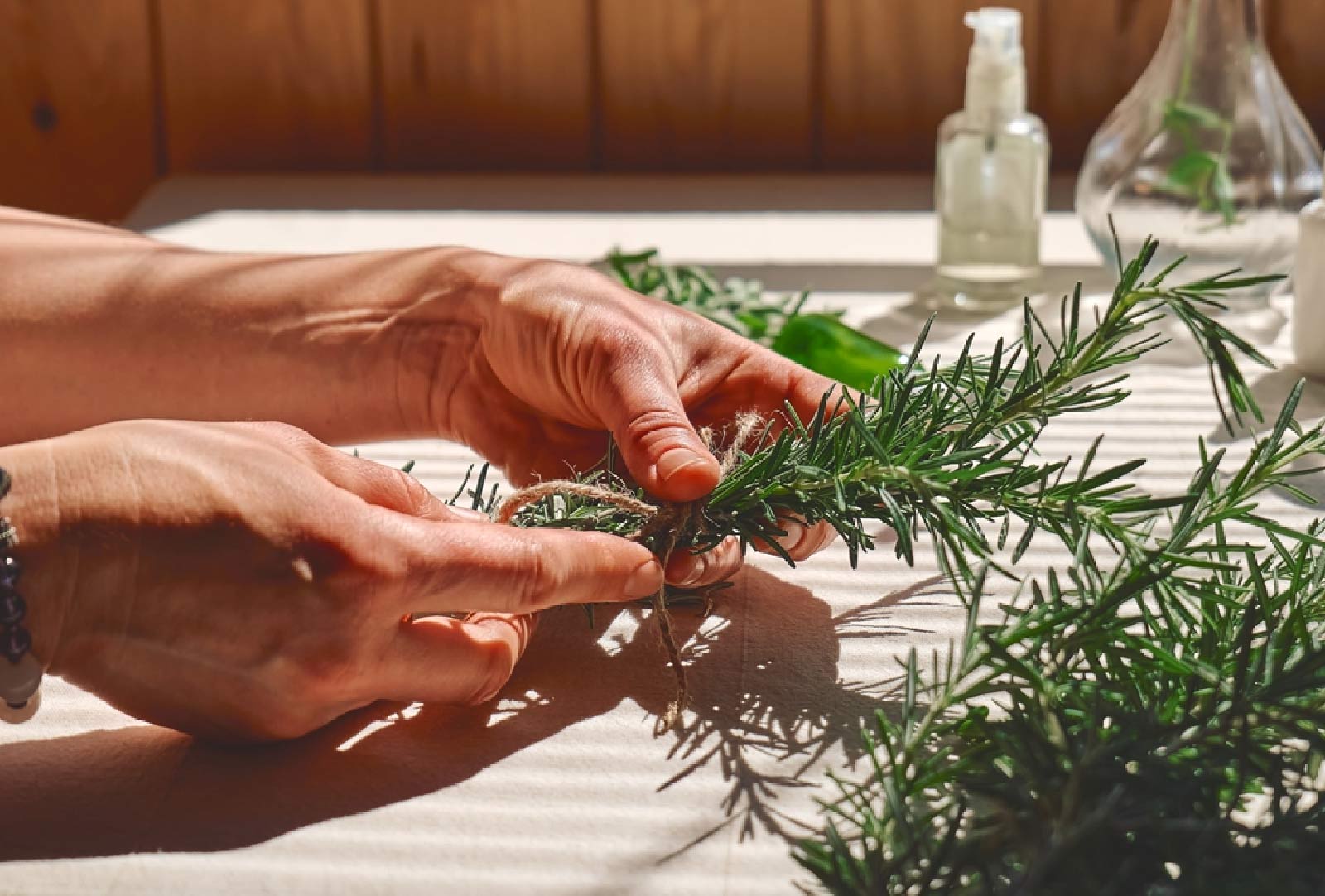 how to grow rosemary plant quickly at home