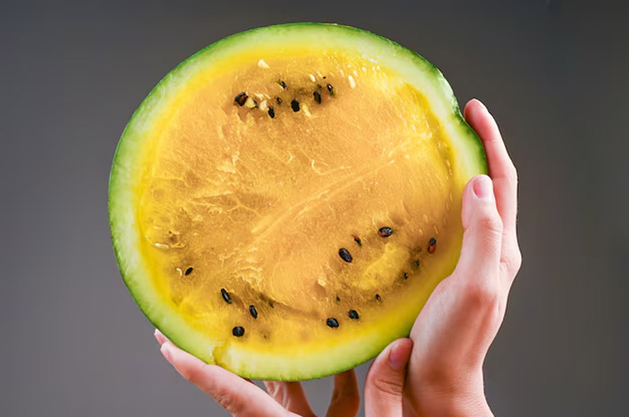 know about yellow watermelon