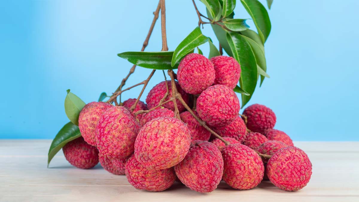 litchi side effects