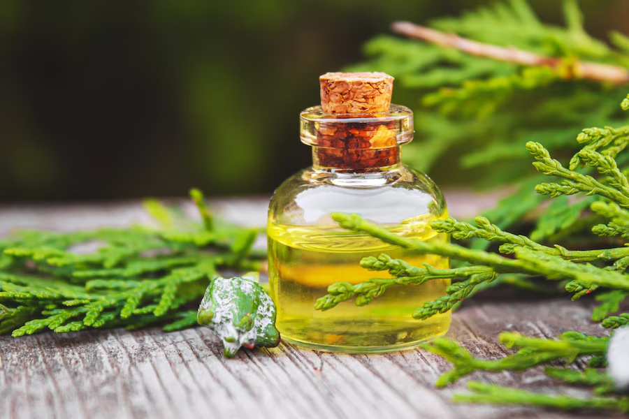 rosemary uses in cooking