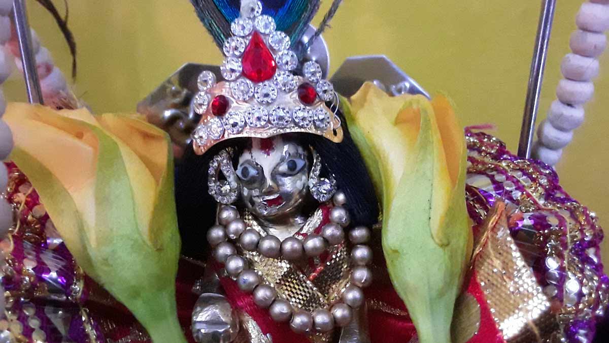 signs of happy laddu gopal