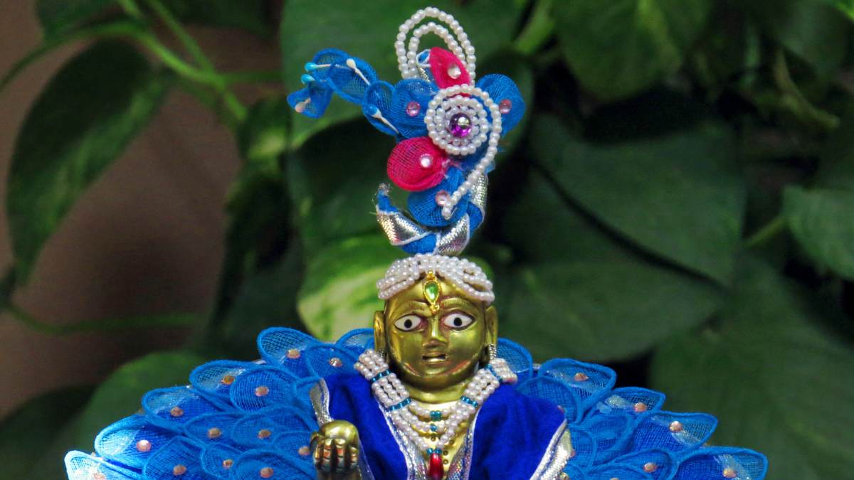 signs of laddu gopal