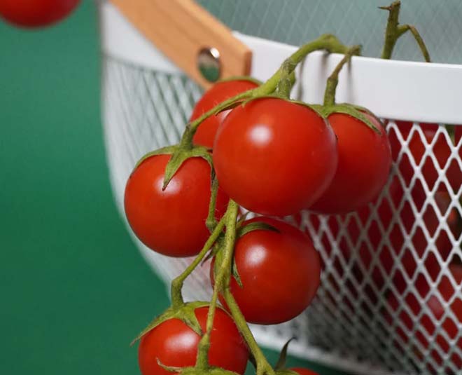 tomato hair mask for greesy hair