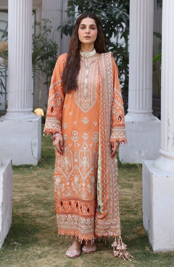 Embroidered Pakistani Salwar Kameez Design