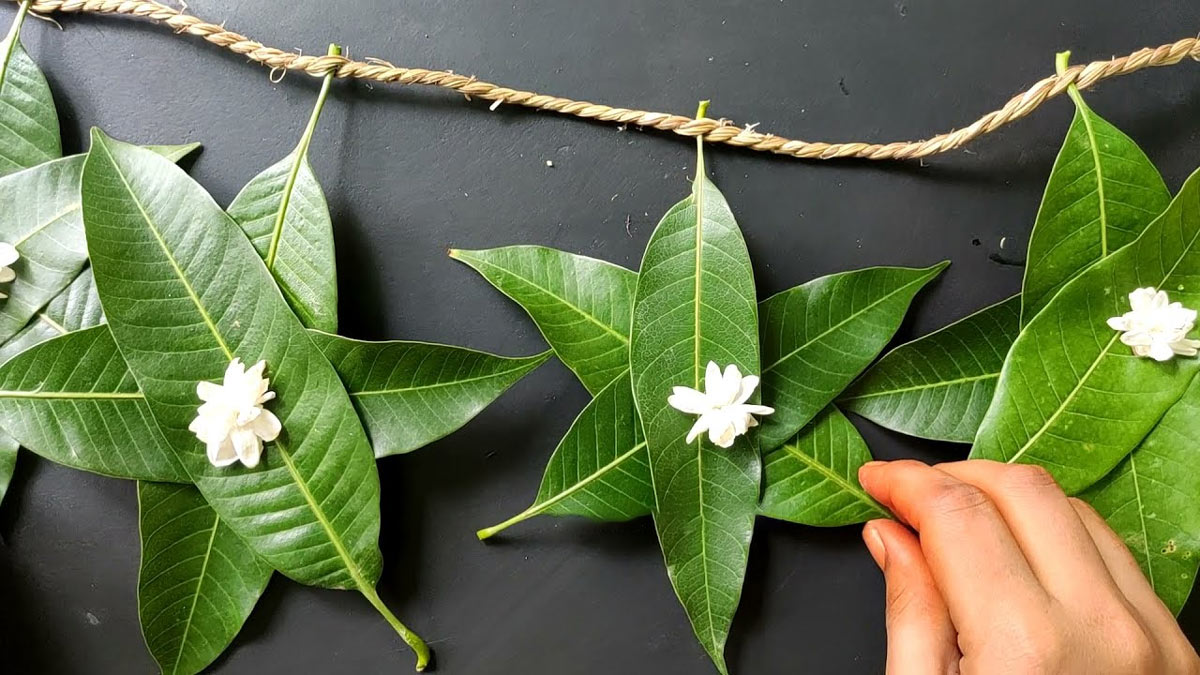 different Torna with mango leaves