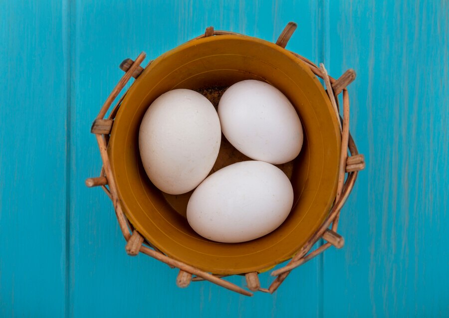 top view chicken eggs basket turquoise background