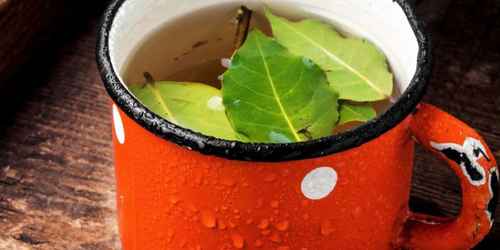 Know The Tremendous Benefits Of Drinking Bay Leaf Water On Empty Stomach