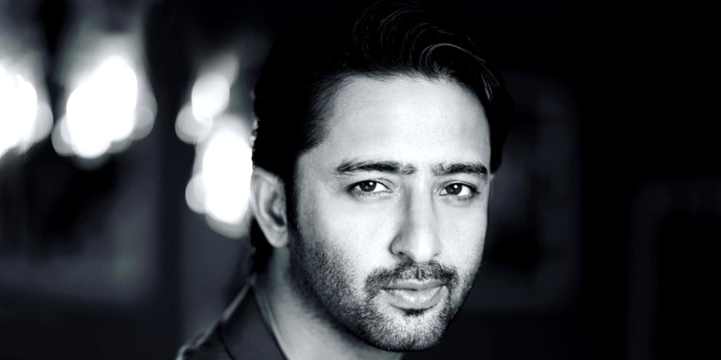 Shaheer Sheikh Exuding Good Boy Charm Through His Roles