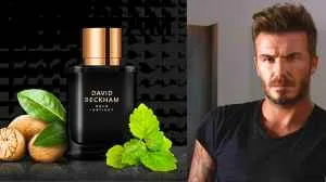 David Beckham Perfume Collection