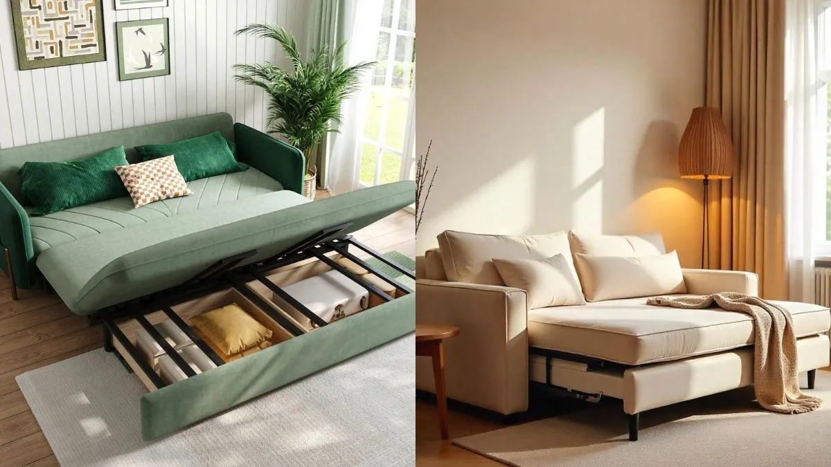 Top Sofa Bed Designs 