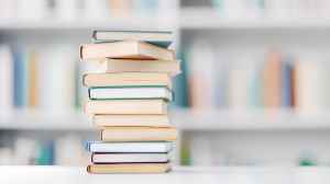 Top Book Read Options For Karnataka Rajyotsava