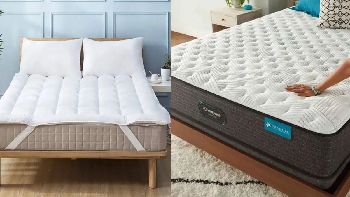 Duroflex VS SleepWell Mattress 
