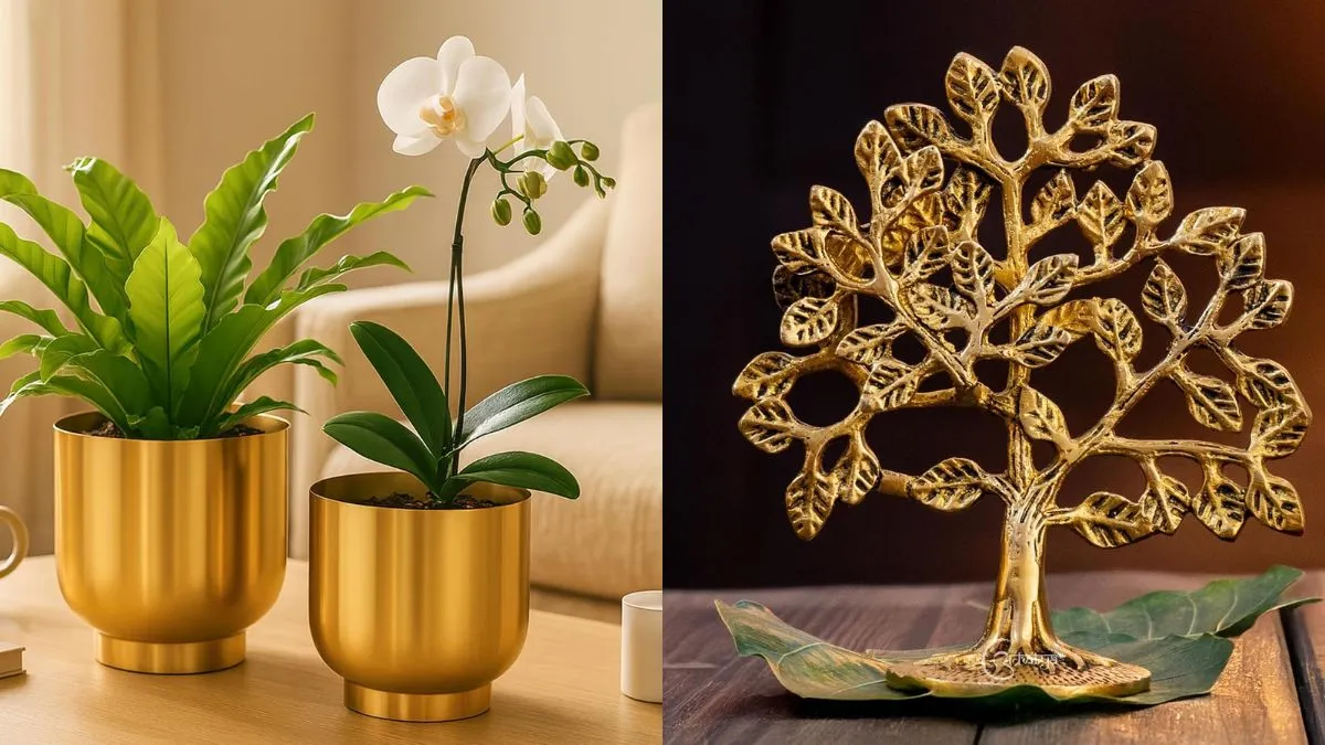 Top Living Room Decor Items