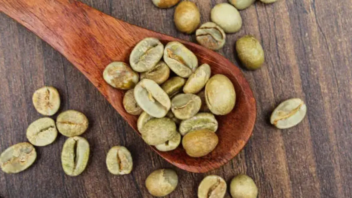 Top Green Coffee Brands In India 