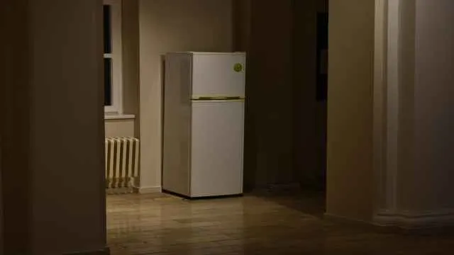 5 Best Affordable Refrigerators for Small Apartments On Amazon: Maximising Space and Value
                                          