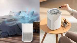Which Is The Best Air Purifier Brand Between Eureka Forbes And Levoit?
