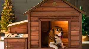 Top 5 Pet House for Dogs