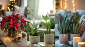 सर्दियों में आपके घर को स्वर्ग बनाने वाले 5 इंडोर पौधे