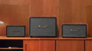 Best Marshall Speakers Under 30000