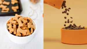 Top 5 Dog Foods: Which Should You Really Be Feeding Your Pet?