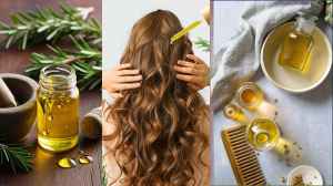 बालों के लिए कितना फायदेमंद है टी ट्री ऑयल? जानिए