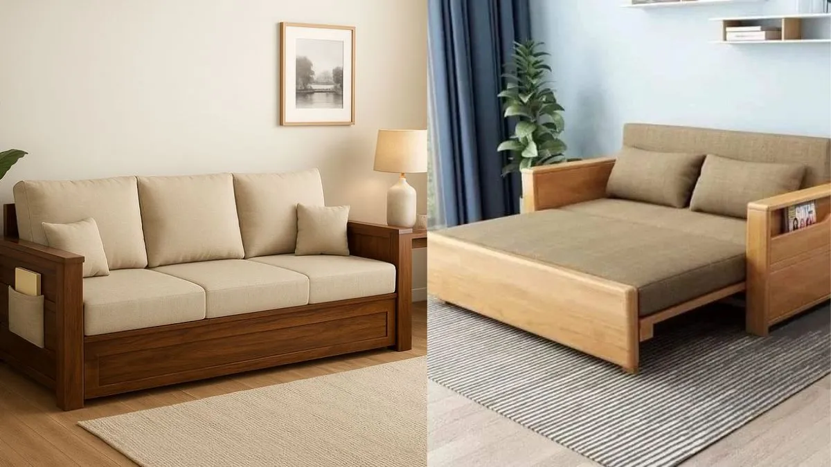 sofa cum bed for hall