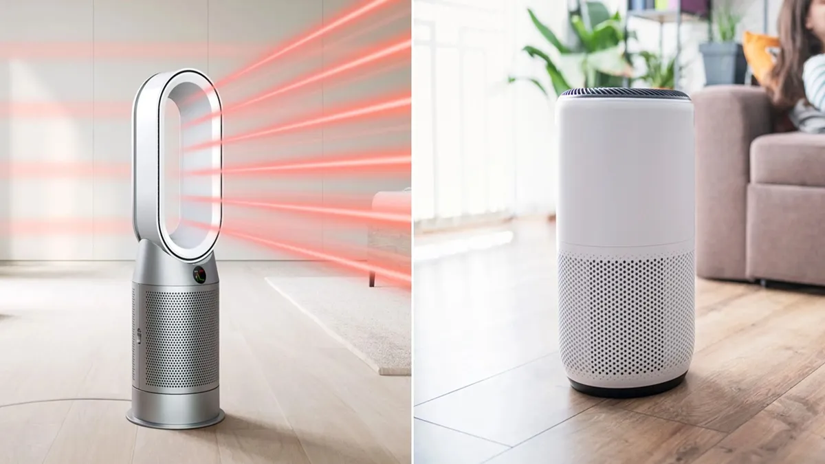 Best Air Purifiers For Hall