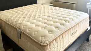 Best Sleepycat Mattresses with Advanced Support for Restful Sleep 