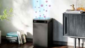 Top Picks Of Air Purifier Companies On Amazon