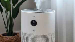 5 Best Sharp Air Purifiers for Large Rooms With Smart Features