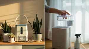 Best Dehumidifier Machines 