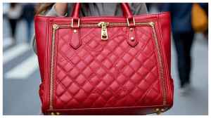 Best Selling Lavie Luxe Female Handbags To Buy From Amazon